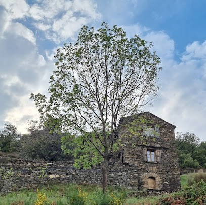 Gîte La Fare - Cévennes, Gîte à Saint-Germain-de-Calberte
