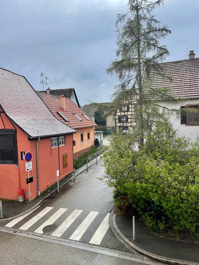 Gîte La Maison Alsacienne, Gîte à Kintzheim