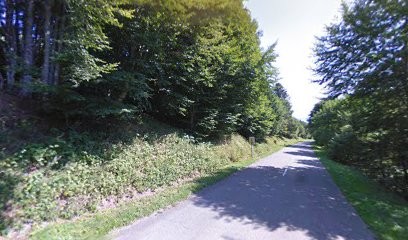 Chalet CAF De Langenberg, Gîte à Sewen