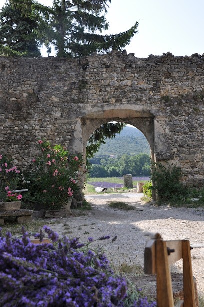 Gîtes du Château d'Alençon à la montagne Bien-être - Drôme, Gîte à Roche-Saint-Secret-Béconne