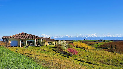 Gite " Les Goyaves ", Gîte à Mongausy