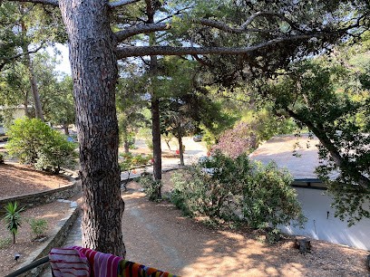 S.A.R.L. Domaine de Stazzona, Gîte à Ogliastro