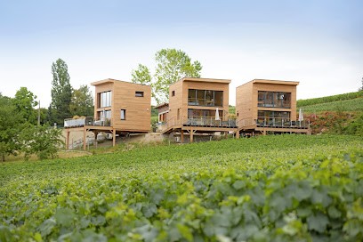 Cottages Antoinette: Location de vacances avec jacuzzi vue panoramique sur le vignoble proche de Reims, Epernay, Gîte à Chigny-les-Roses