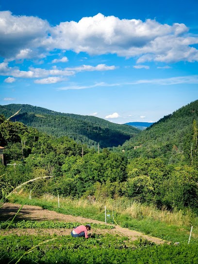 La Ferme des Ducs, Gîte à Saint-Genest-Lachamp