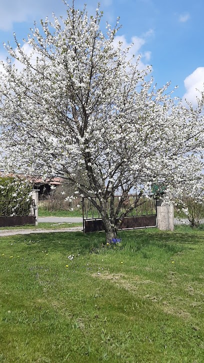 Gîte De La Cavalière, Gîte à Chagny