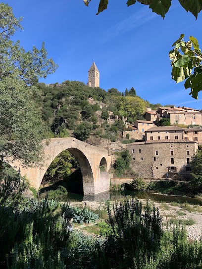 Le Jardin Del Sud : Location Gites De Charmes Pour Groupe, Piscine, Proche Olargues,Parc Naturel Du Haut-Languedoc, Hérault, Gîte à Saint-Vincent-d'Olargues