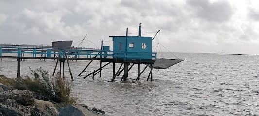 Gîte De La Salamandre, Gîte à Fouras