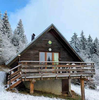 Gîte Chalet L'Everest, Gîte à Lumbin