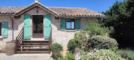 Les Petits Chais - 2 Gites Vignifiants - gîte insolite tonneau -Spa Jacuzzi piscine, Gîte à Castelnau-de-Montmiral