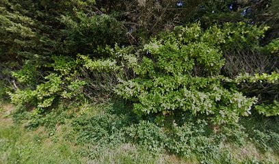 Le Moulin De Merault, Gîte à Gorron