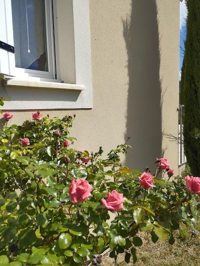 Le songe des lavandes, Gîte à Plan-d'Orgon