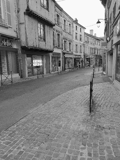 Gîte Au Billot Chanteloup 8/10 Personnes, Gîte à Charlieu