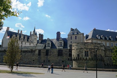 La Maison Du Chat Bleu, Gîte à Saint-Hilaire-de-Clisson