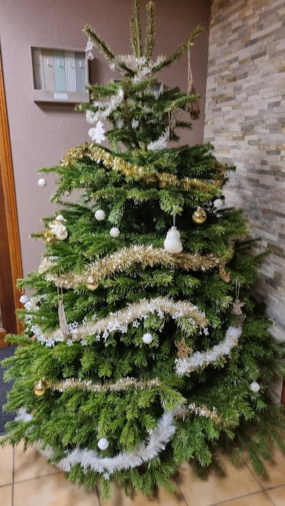 Gîte De L’Ancolie, Gîte à Saint-Jean-Saint-Nicolas