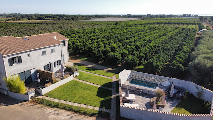 L'arancera, Gîte à Penta-di-Casinca