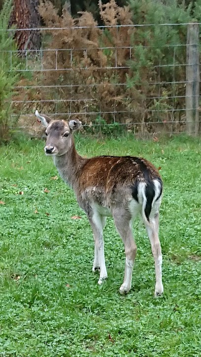Cottage 473, Gîte aux Trois-Moutiers