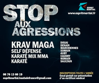 Franck Delsaut Esprit Martial, Gîte à Somain