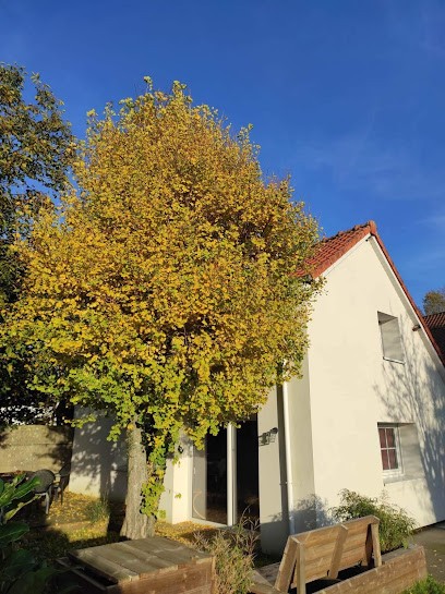 Gîte A l'ombre du ginkgo, Gîte à Campagne-lès-Hesdin