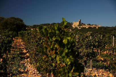 Les Mas Ferrando Gîte à Châteauneuf-du-Pape