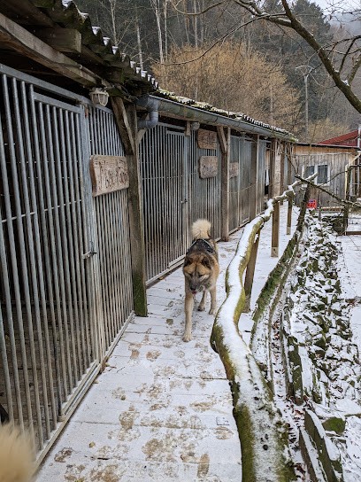 Reve de Nord, gite Croc Blanc, Gîte à Sondernach