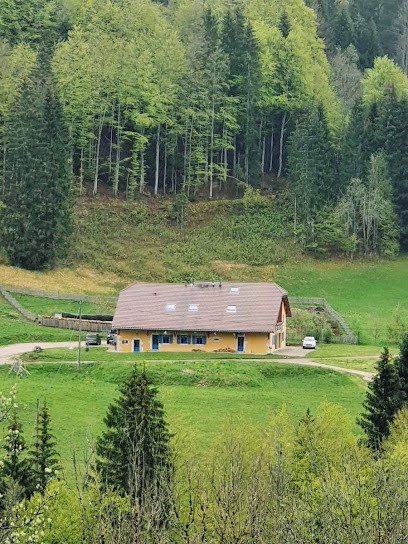 Gîte Le Chapy, Gîte à Septmoncel les Molunes