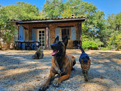 Les Sangliers Gîte à Penne